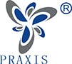 Práxis Novo Materiais Co., Ltd